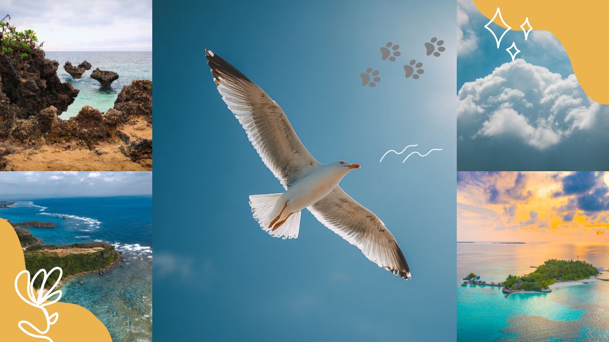 自己紹介・経歴